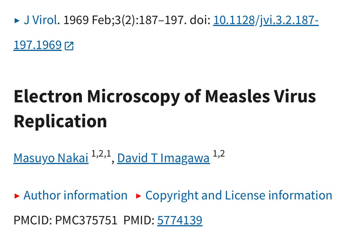 Ayman Alatas tweet media