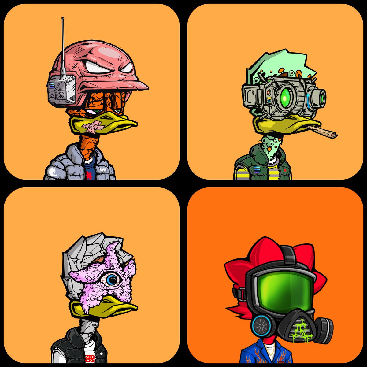 HAWK (33.3%) tweet media