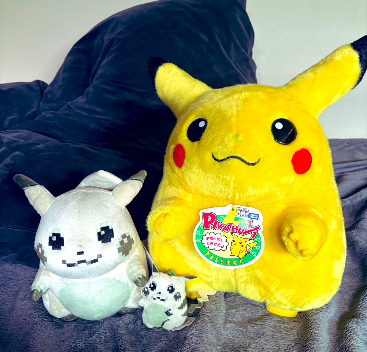 TON・GG tweet media