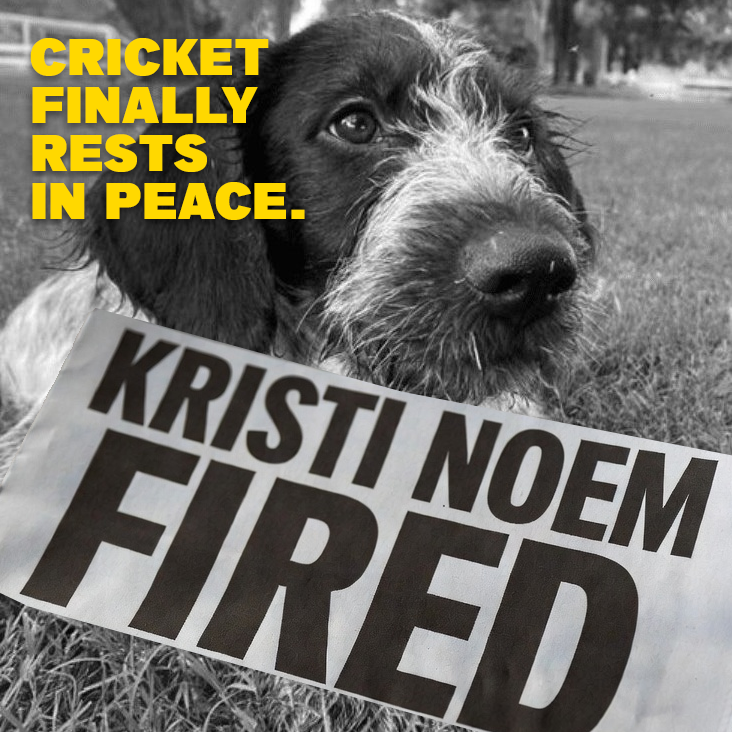 ProgressNow Colorado tweet media