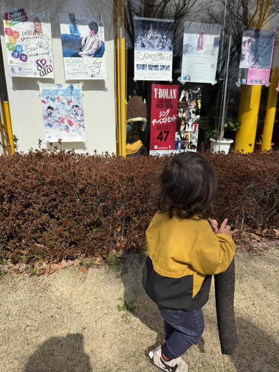 おやすみ ごまちゃん🦭 tweet media