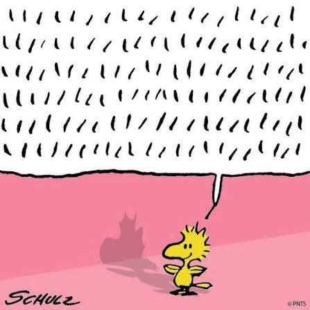 Got a voicemail from Woodstock
