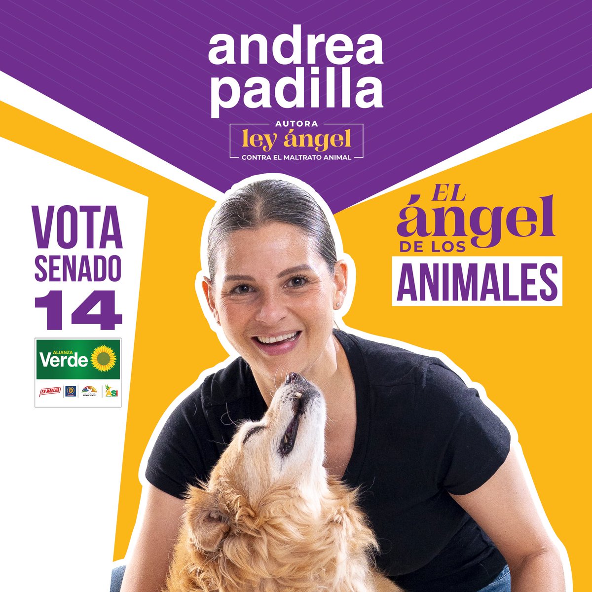 danielvelez20's tweet photo. Mi voto al senado es por ella y por ellos❤️‍🔥🙏🏽 @andreanimalidad https://t.co/7G3ZvcY70E