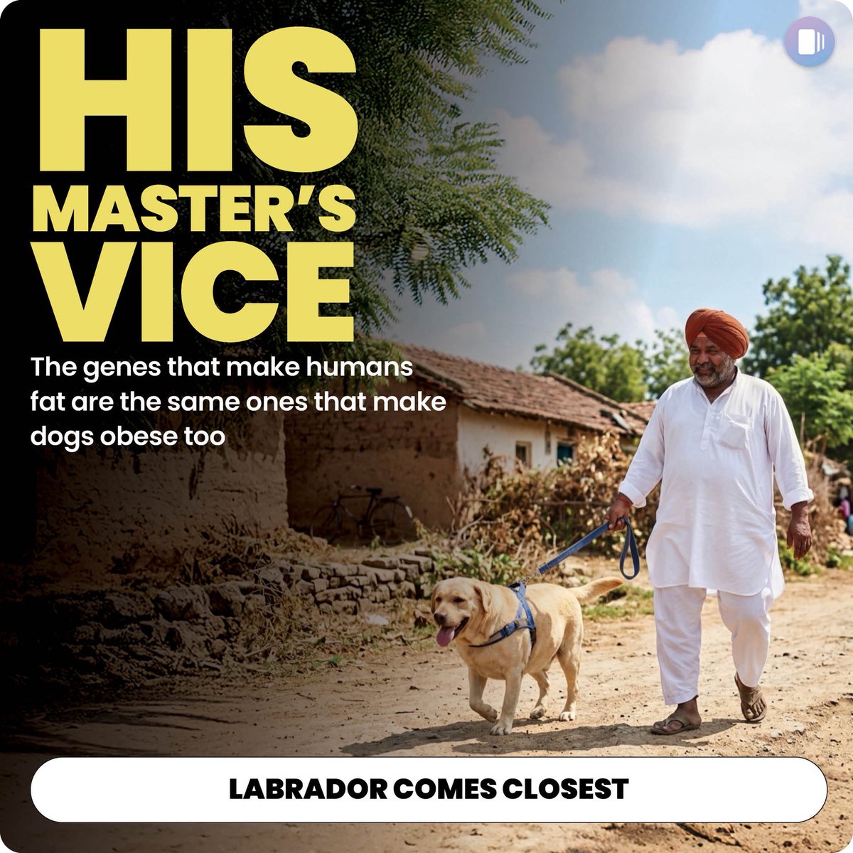 Happiest Health Digital tweet media