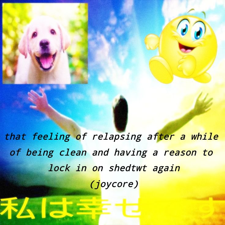 fuckingkcallies's tweet photo. #shedtwtα
#shtwt #joycore https://t.co/n3jS1LoBhr