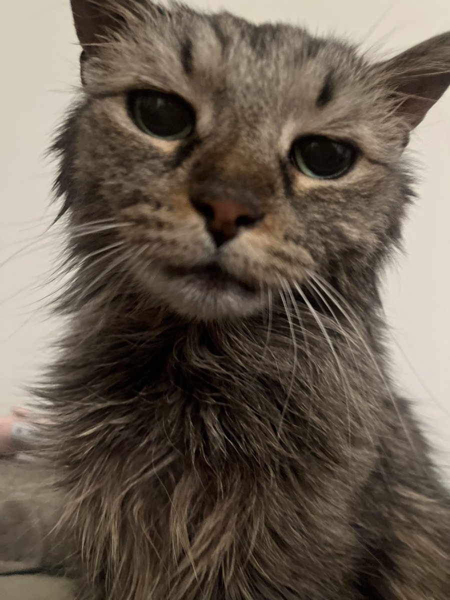 I was a good girl for my blood draw and got a gogurt and they said I’m their favorite patient