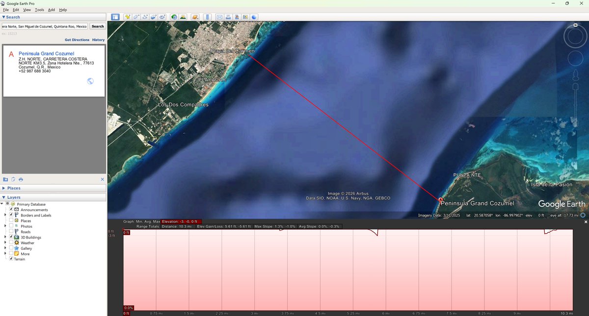 Bruised Ferret tweet media
