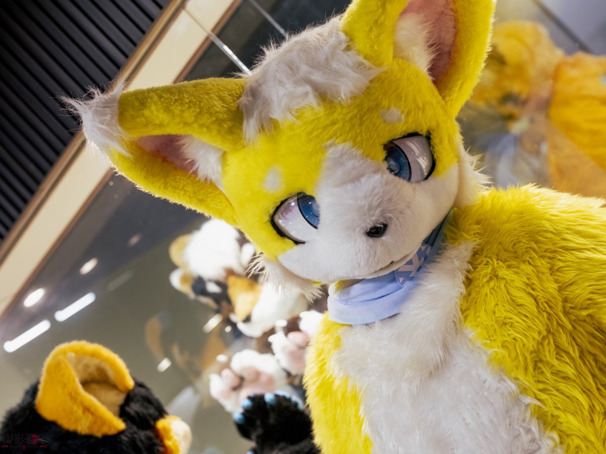 ⚡頹廢小雷⚡RAI ライ😸 tweet media