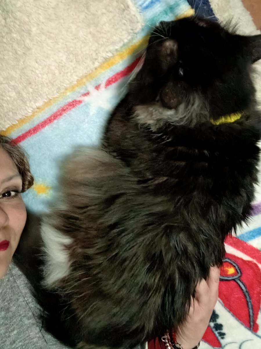 Cómo ven a mi bebé Félix 😍💞 <a href="/26Xypher/">xypher</a> <a href="/AriBotero/">Ari Mau Botero</a> <a href="/ile0719/">ilebe 🏃‍♀️🐈🐾🐕</a> <a href="/junioryMilo23/">junior y Milo🐱🐱</a> <a href="/KoshkaMorrison/">🌸Koshka Morrison Diesel💜</a> <a href="/Sofie_JMACS/">Sofie JMACS</a> <a href="/La_Banda_VIP/">Banda VIP</a>