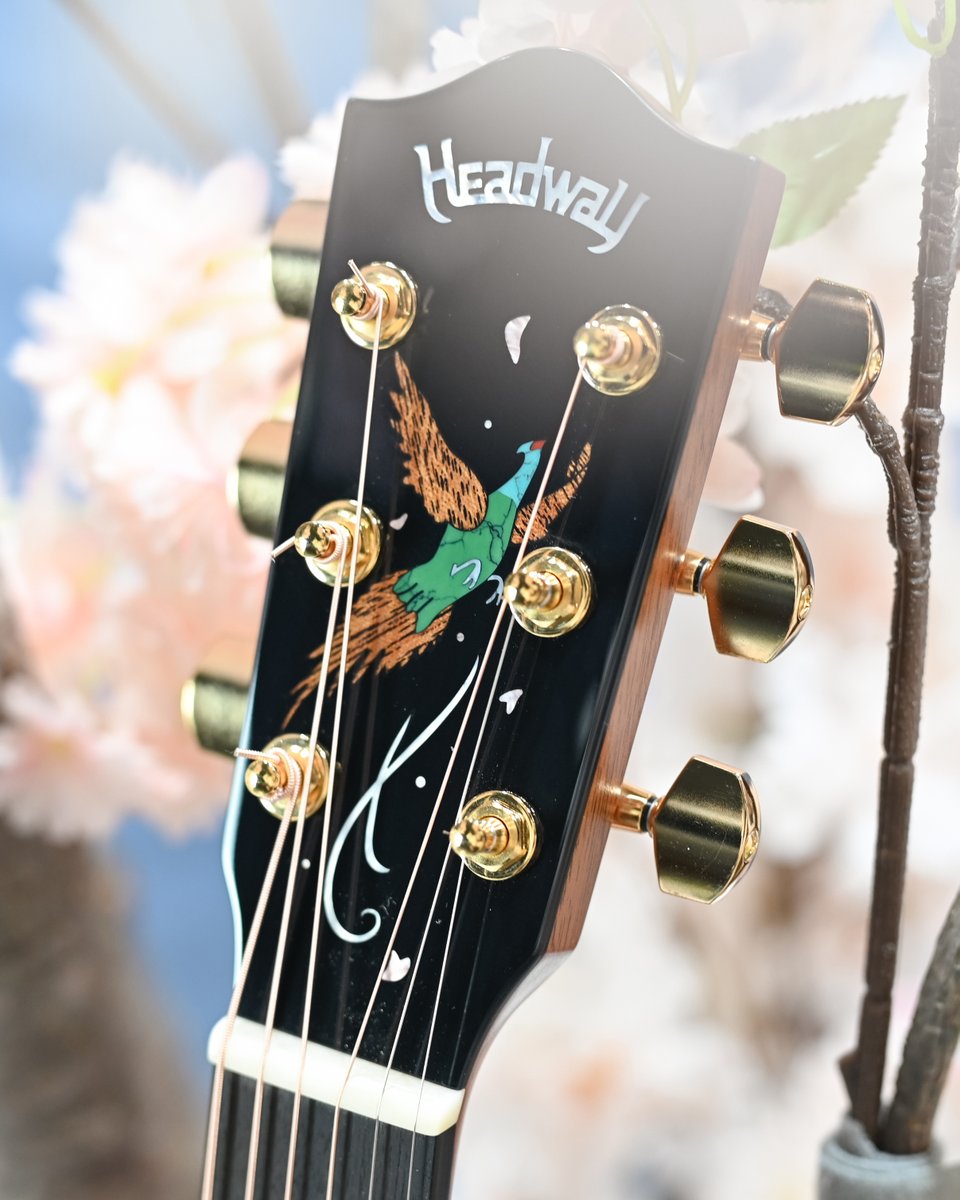 株式会社ディバイザー (@DeviserGuitars) / Posts / X