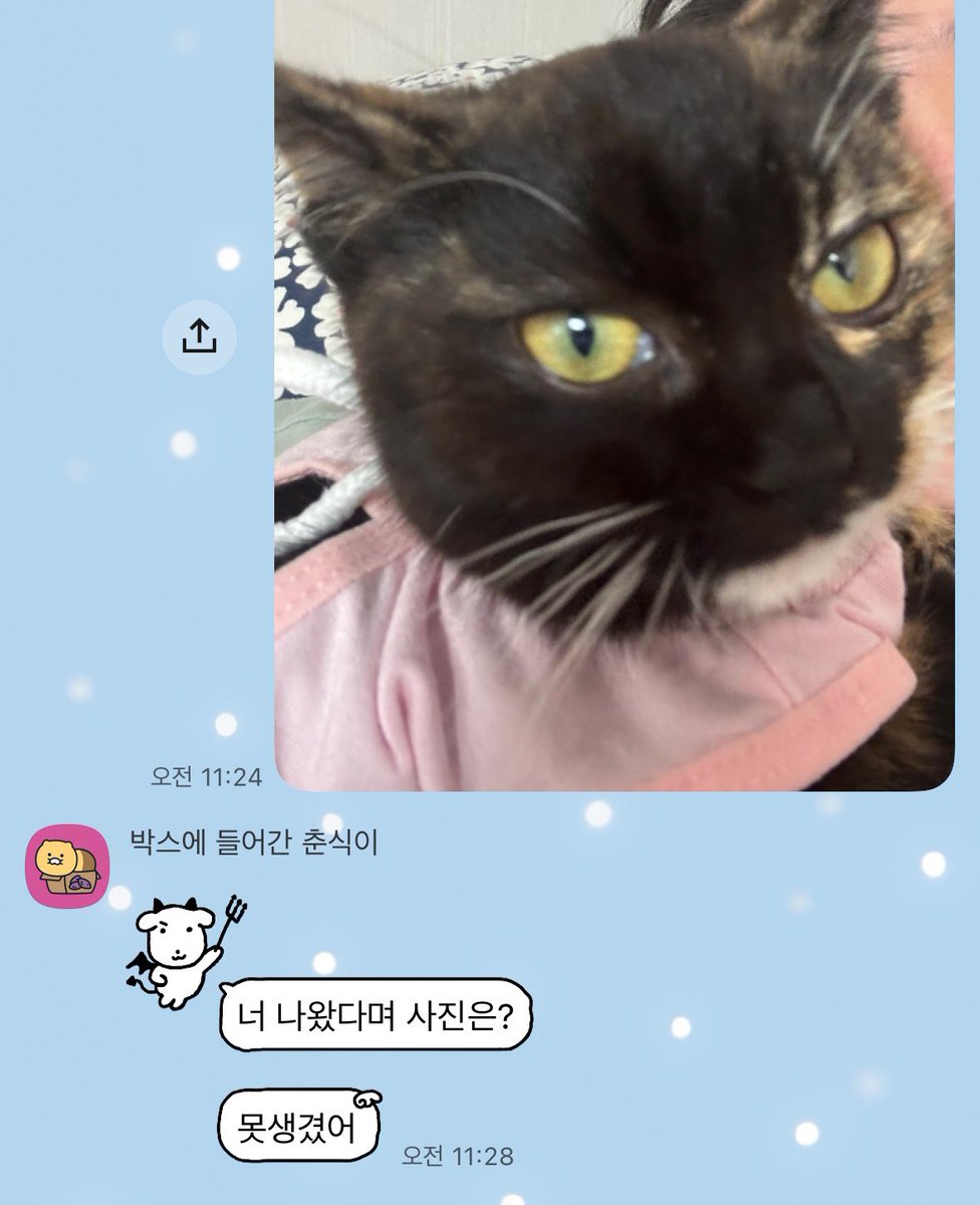 Poodo0's tweet photo. 엄마.. https://t.co/IOPDxjh3w0