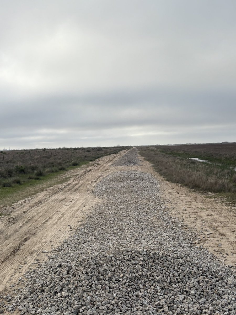 Tripoli Houston 002 tweet media