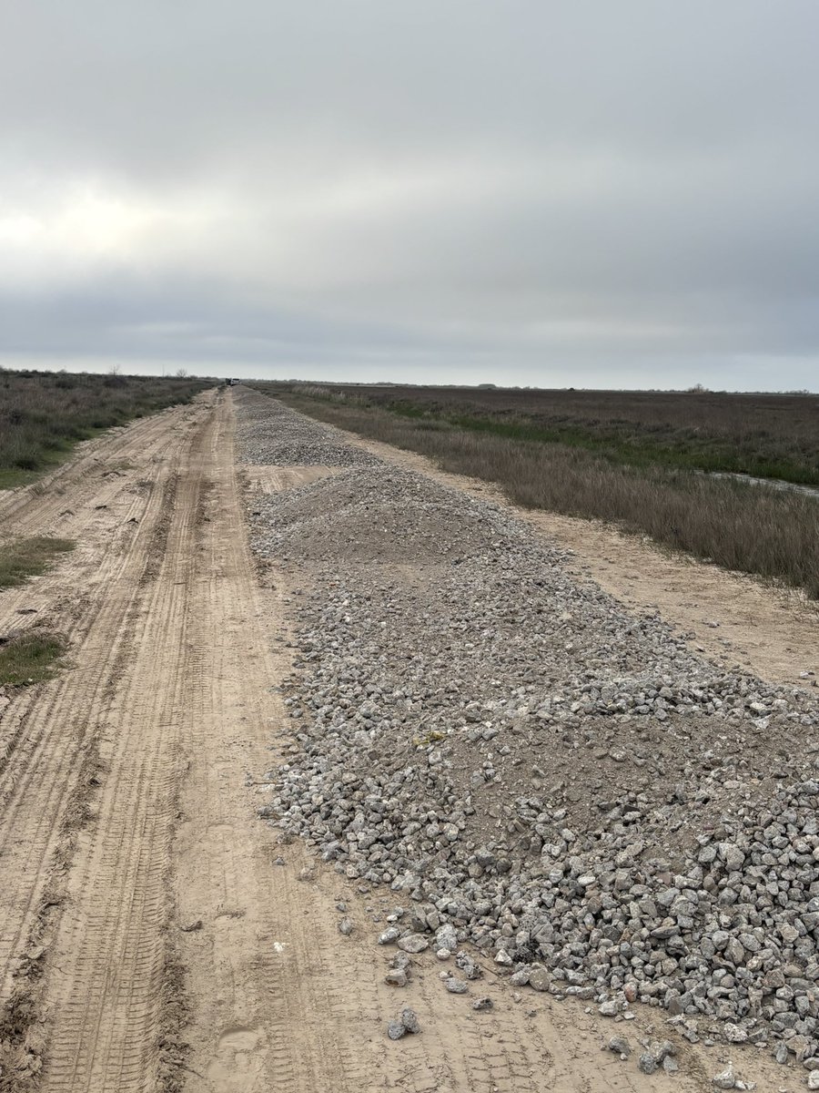 Tripoli Houston 002 tweet media