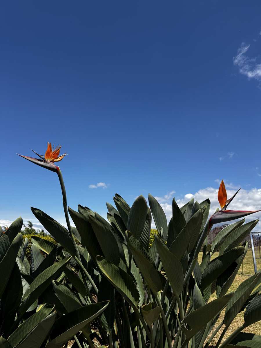 Steph González tweet media