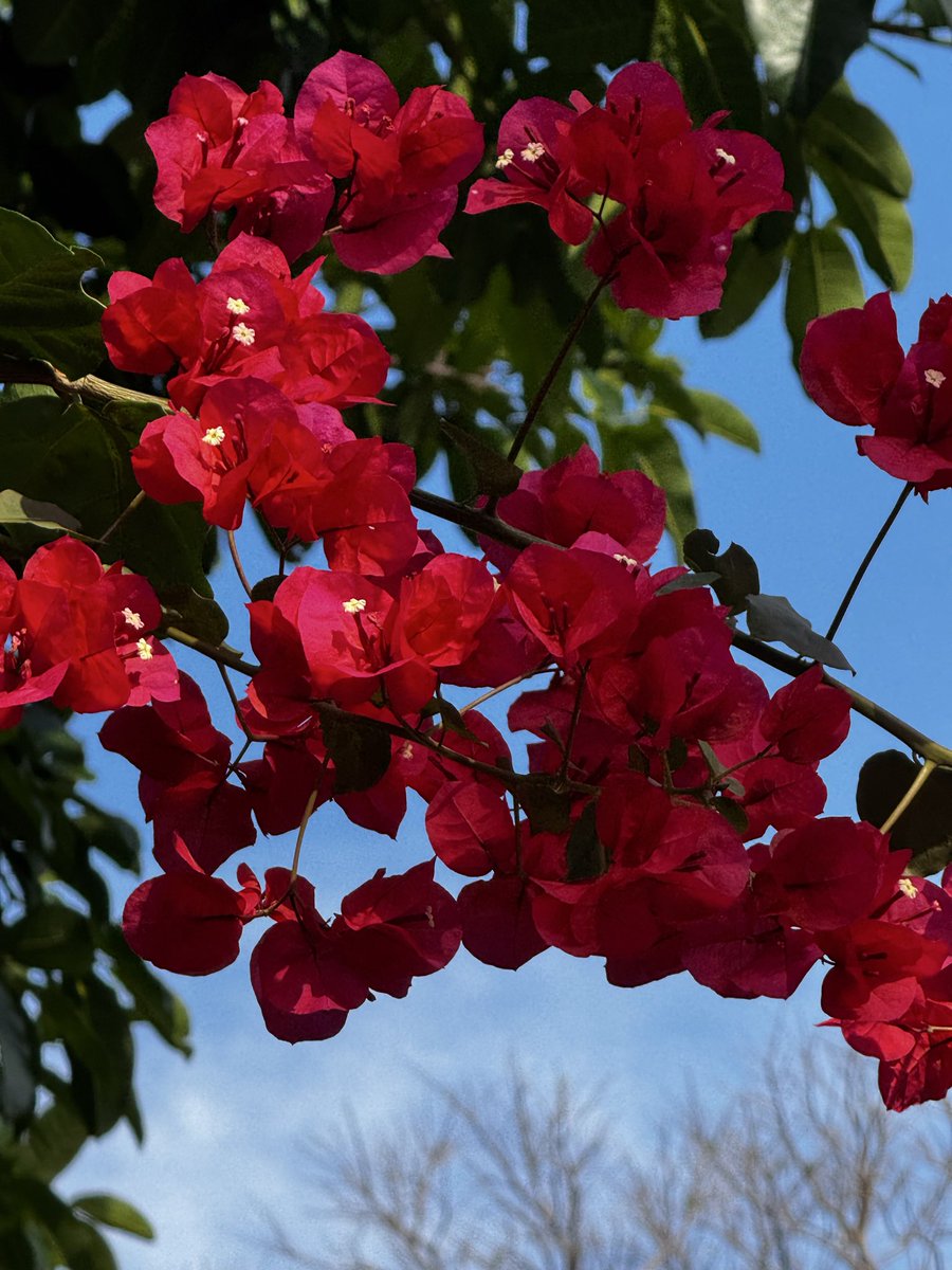 Steph González tweet media