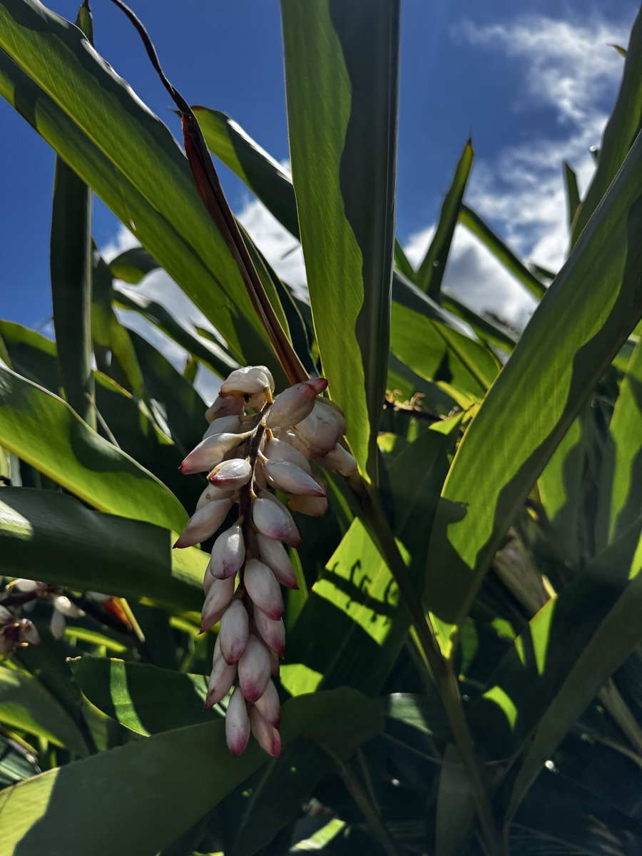 Steph González tweet media