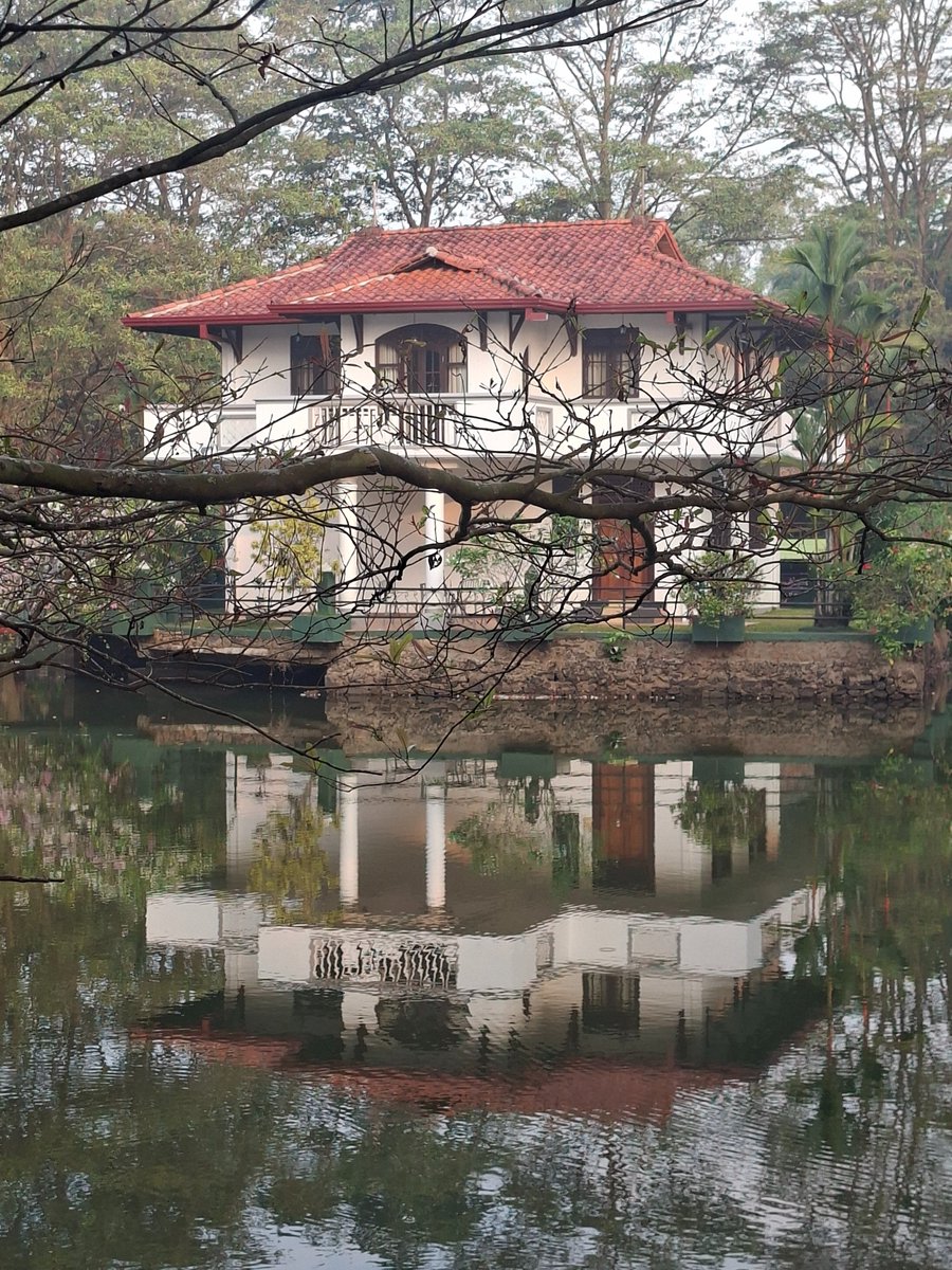 Aneeta Sundararaj tweet media