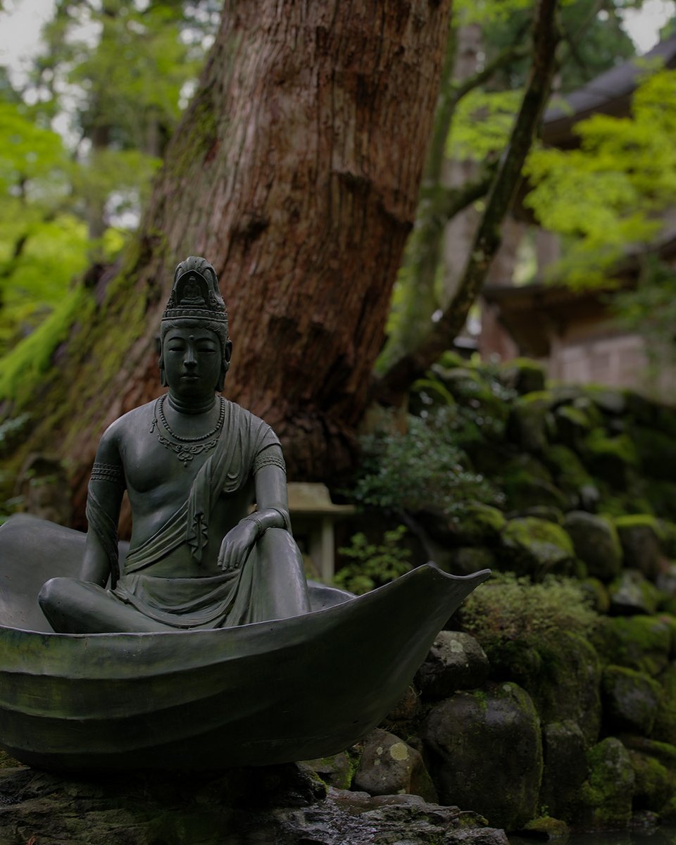 JapanDst's tweet photo. The new gateway to Zen. 🚄🌿
Accessible via the 2024 Shinkansen extension.
📍 Eiheiji Temple, Fukui https://t.co/qfXUsvKMXO