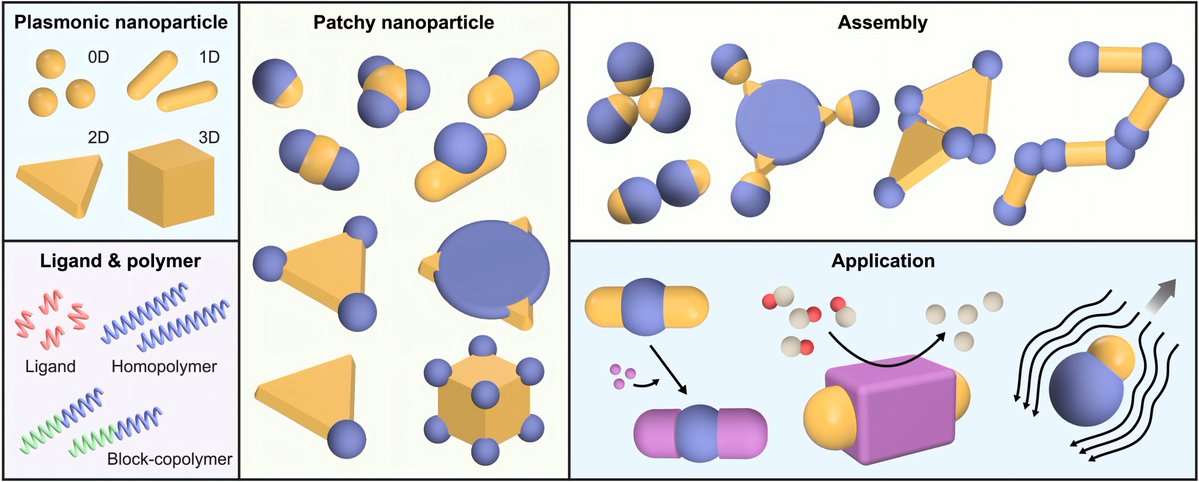 Scilight Science tweet media