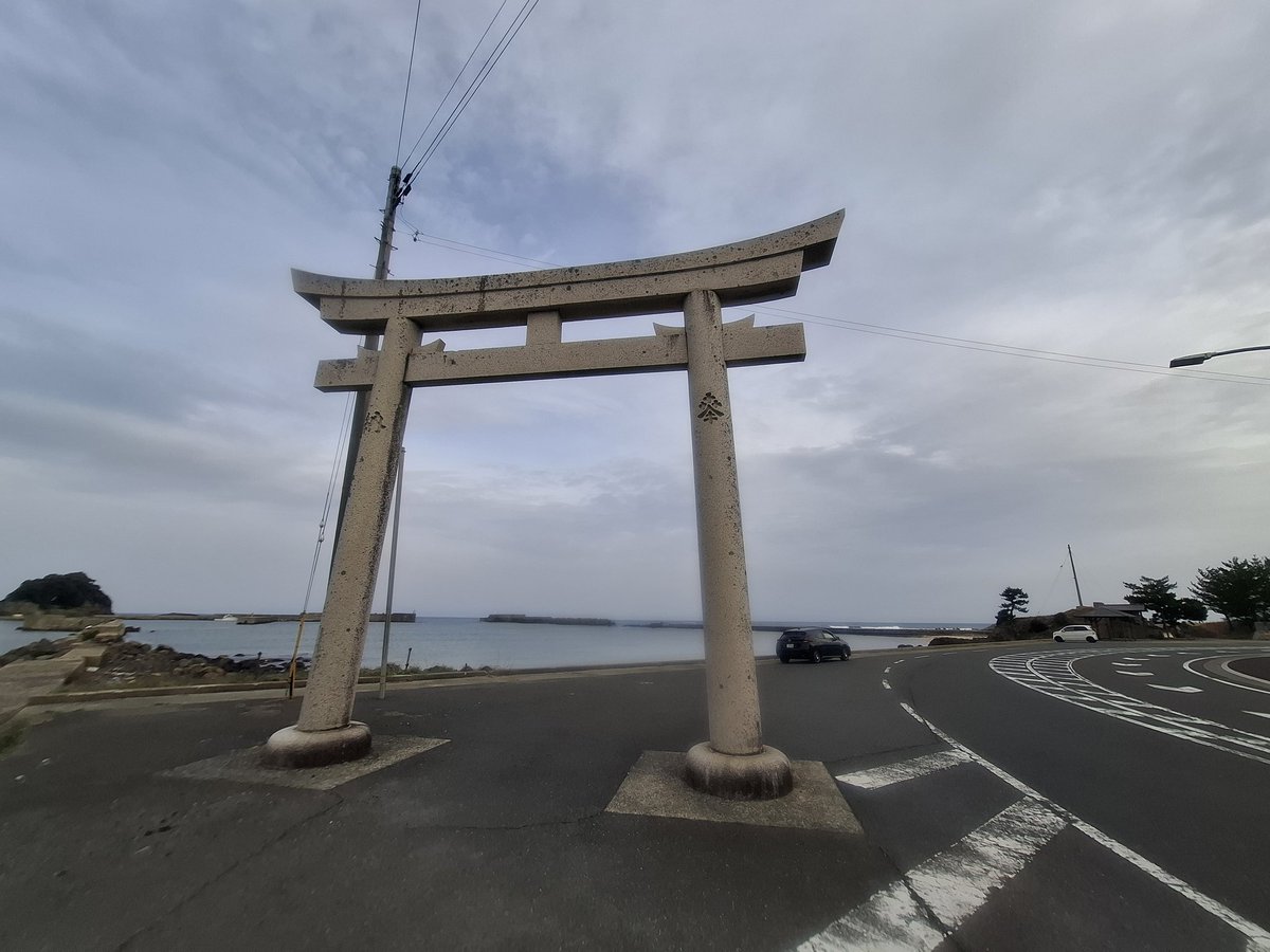 しげん tweet media