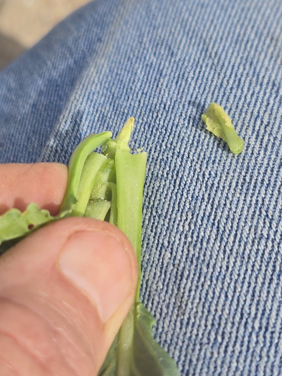 Tim Flanders tweet media