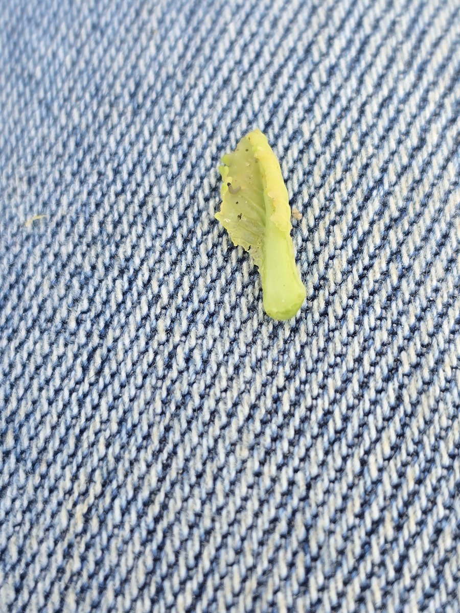 Tim Flanders tweet media