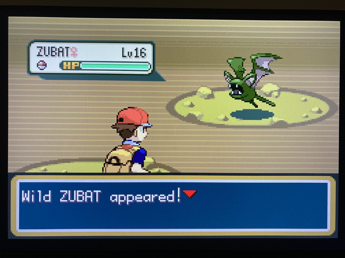 alectrosaur's tweet photo. WHAT IS HAPPENING

MY SECOND SHINY IN TWO DAYS https://t.co/85SKvxTJV1