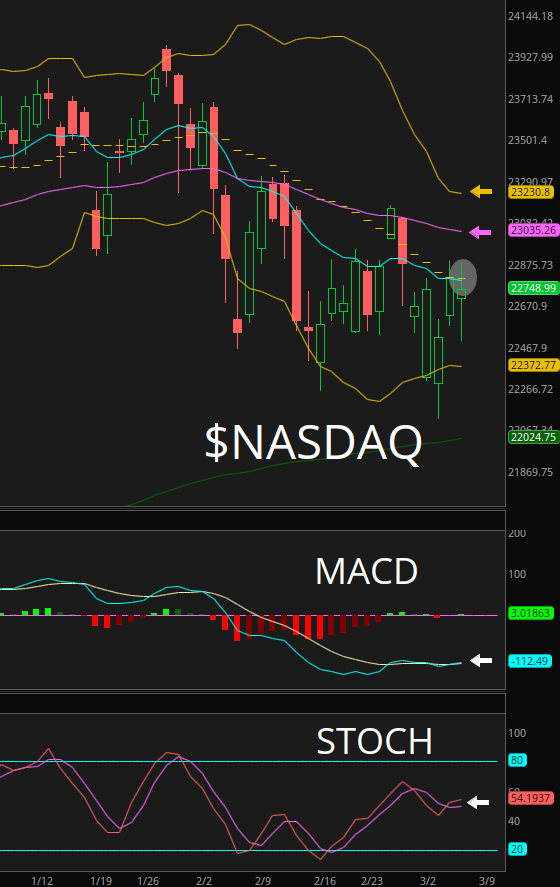 ChartingKatrina❤️🔥🎀 tweet media