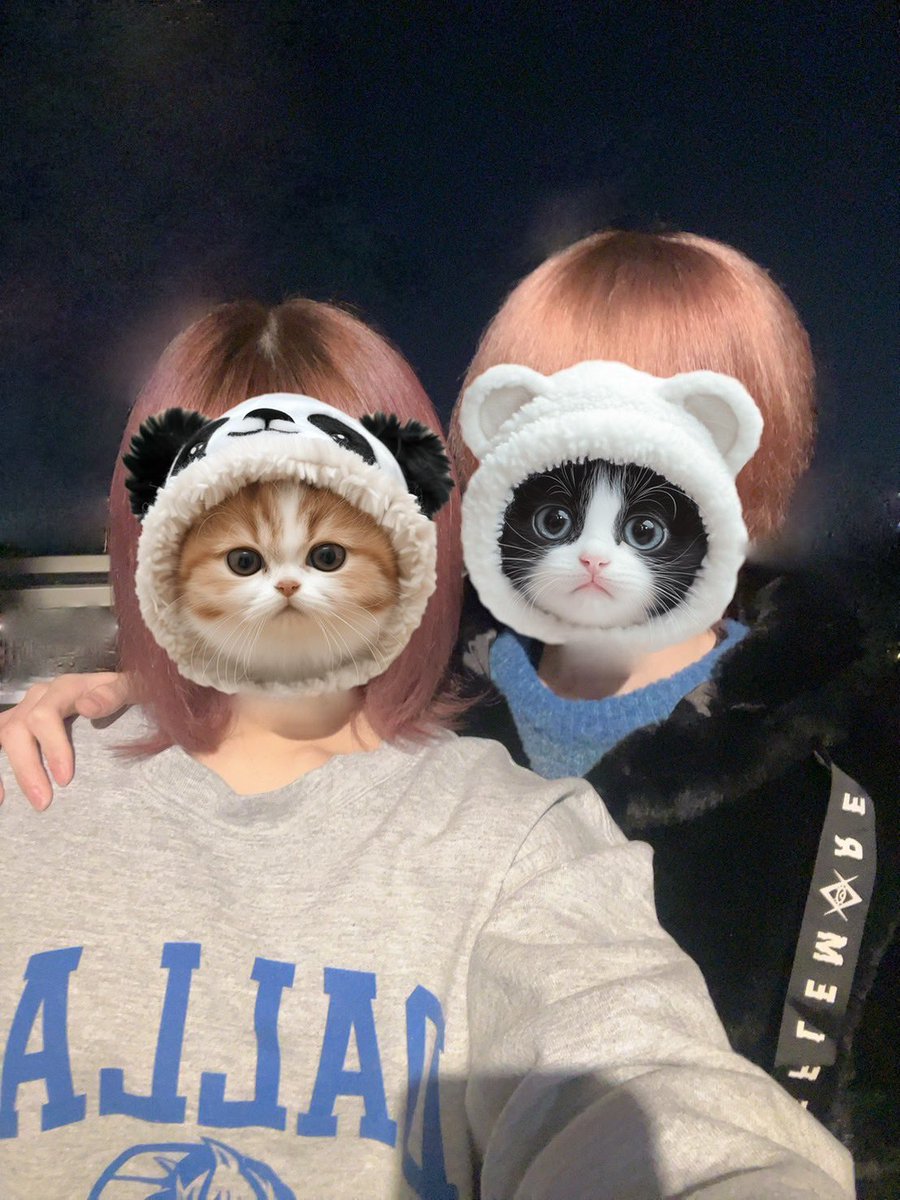 LsrrCq's tweet photo. 半年です https://t.co/QkpuK0f5Ip