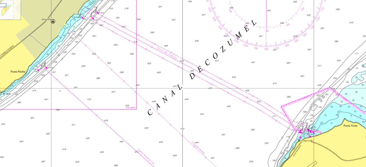 Bruised Ferret tweet media