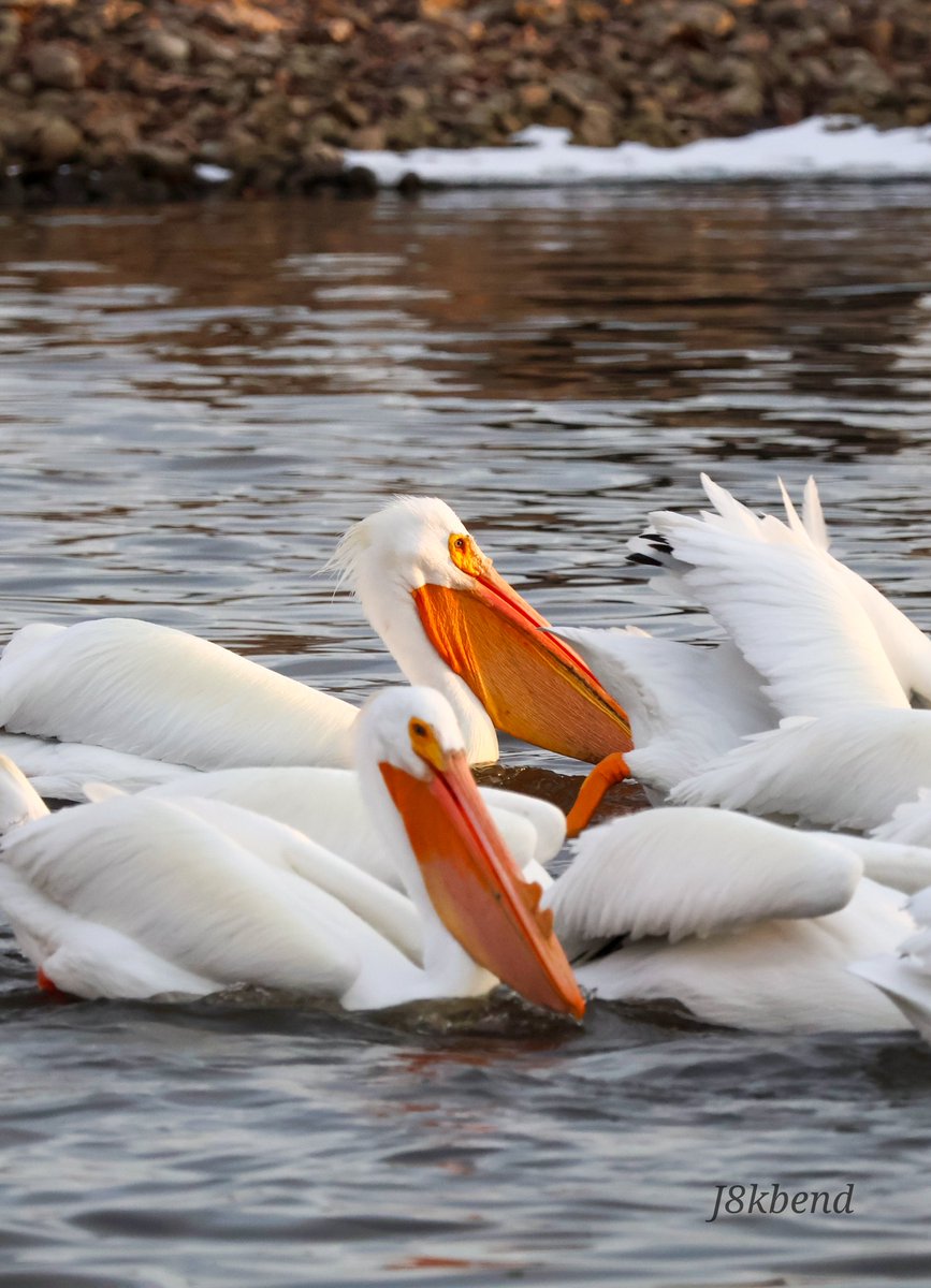 jake bender tweet media