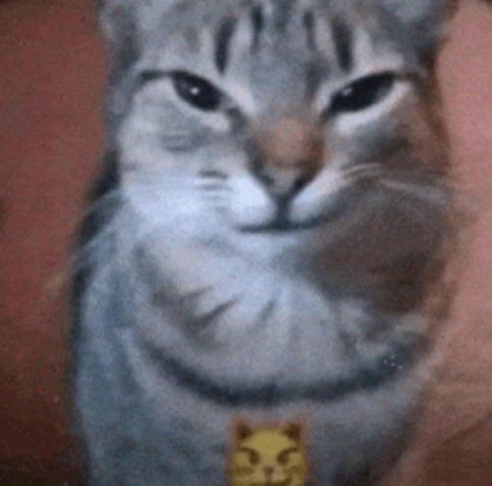 pookielicious|ari🇵🇷 tweet media