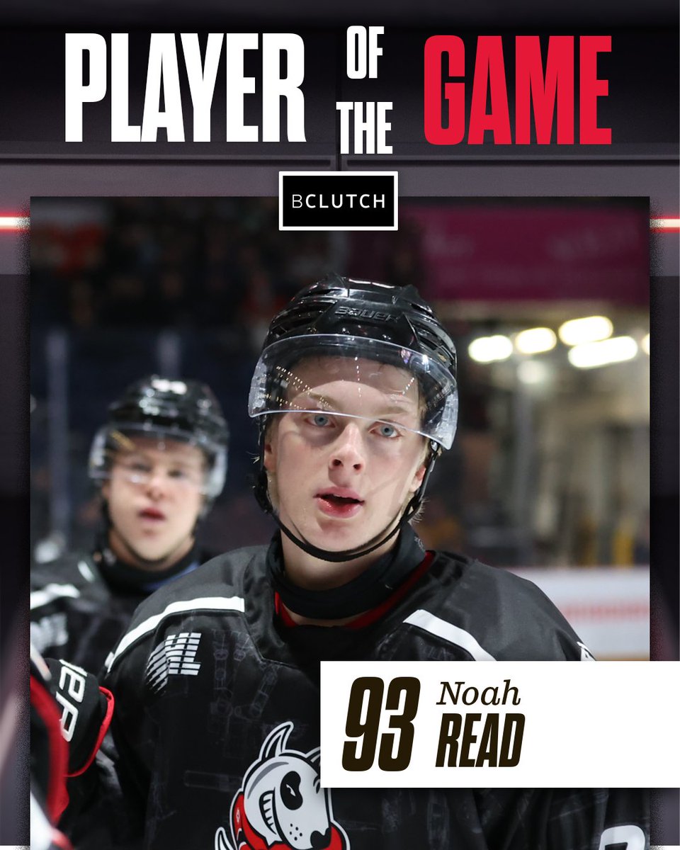 Niagara IceDogs tweet media