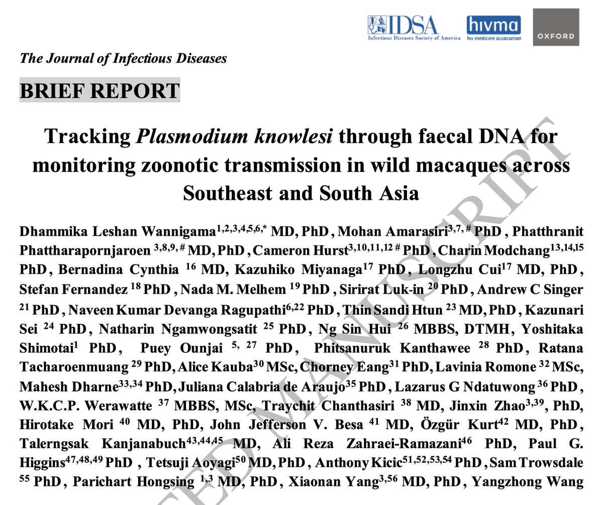 Charin Modchang tweet media