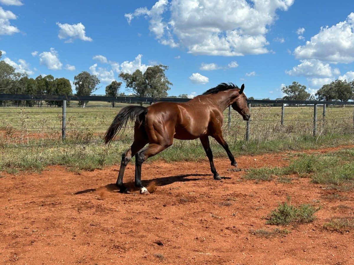 TTRSyndications's tweet photo. Fan Sea Diva having a well-deserved break 🏇 https://t.co/h9k3tcAFvz