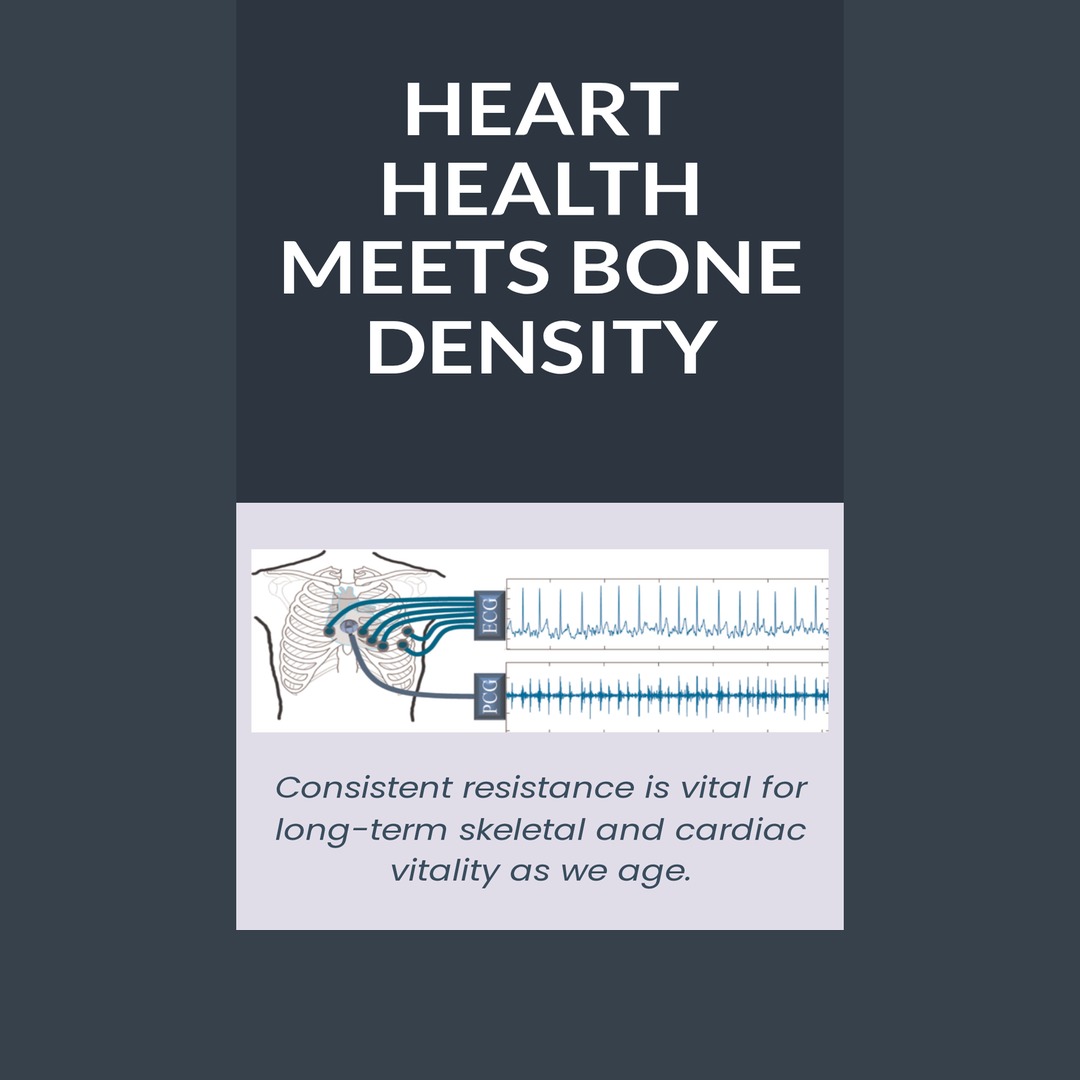 IsoToneFit's tweet photo. Bone density declines with age.

Resistance training helps maintain bone strength - but many workouts stress the joints.

IsoTone provides smooth hydraulic resistance that adapts to your strength.

15% OFF this week
Code MOVE15