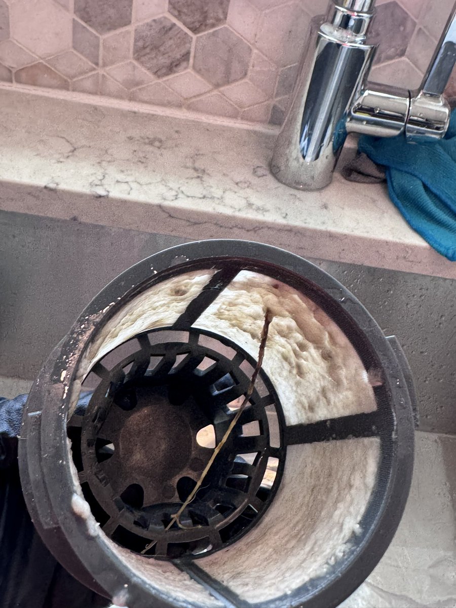 WallerSolutions's tweet photo. Pre-rinse your dishes and clean the filter to your dishwasher. This is what your ingesting
#cleaningservices #clean #cleaning https://t.co/pLaIQaYwuH