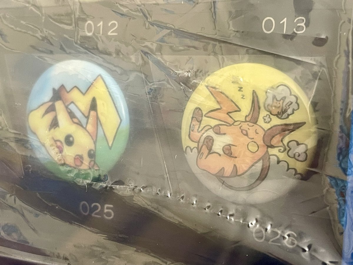 15th ポケモンバッジ151購入✨✨ Yogiboくらいデカくてビビってますが