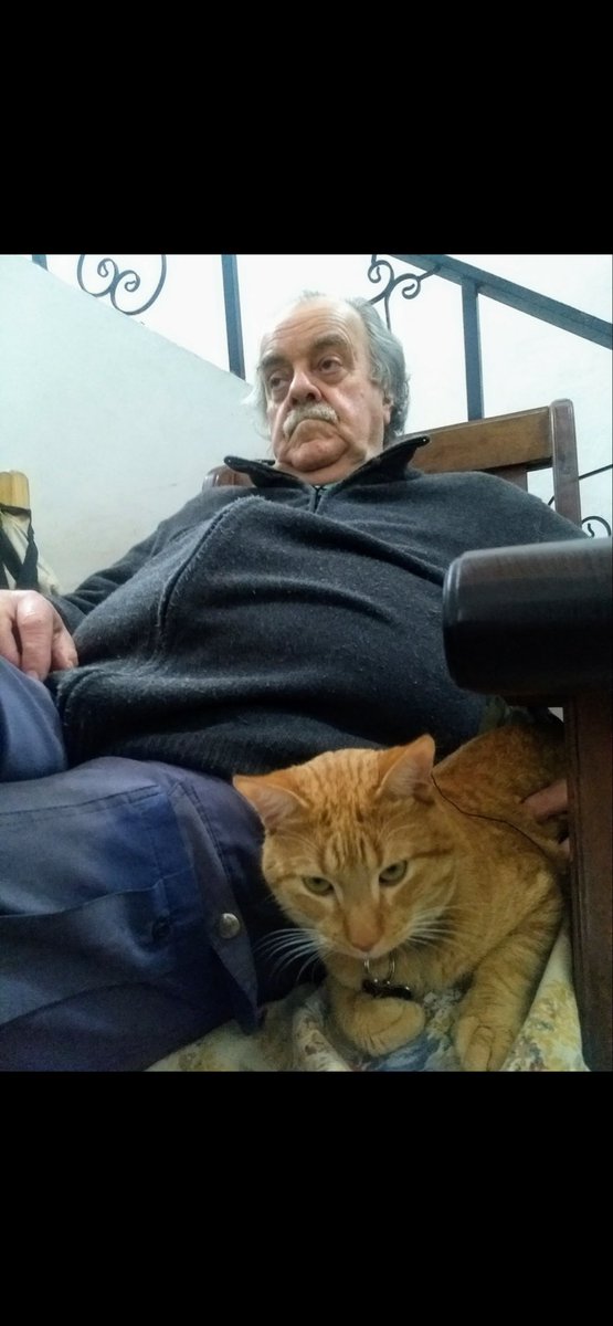 mvbarbosch's tweet photo. Mi papá falleció y el gato no come hace días (ya fue al vet) y hoy de nuevo. Le di agua en gotas para hidratarlo, mañana lo voy a llevar antes del velorio para que se despida de su dueño (era mío pero mi papá me lo robó). 
La vida de los muertos perdura en la memoria de los vivos https://t.co/nP7vr0c7wf