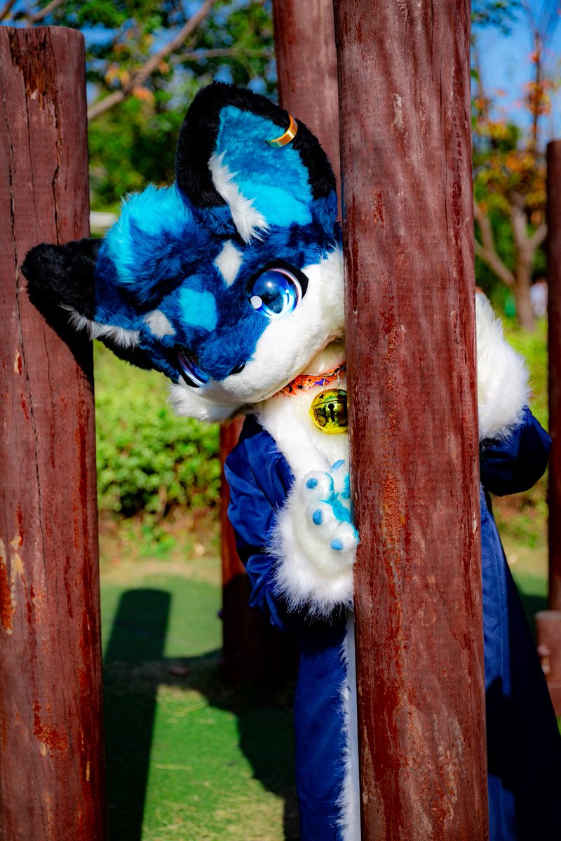 ELEN✨アタミ tweet media