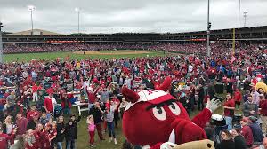 Collin Wilson tweet media