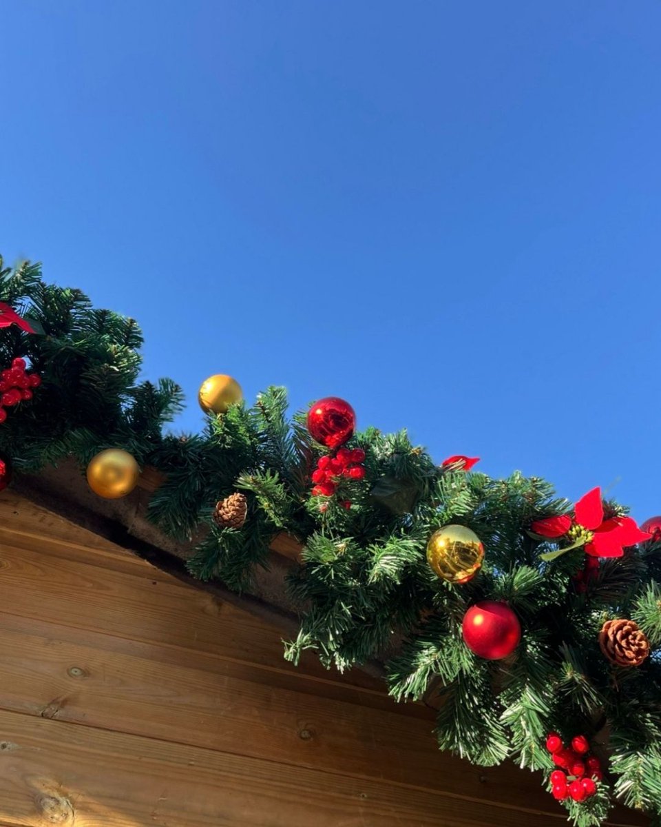 Tyler Rasch tweet media