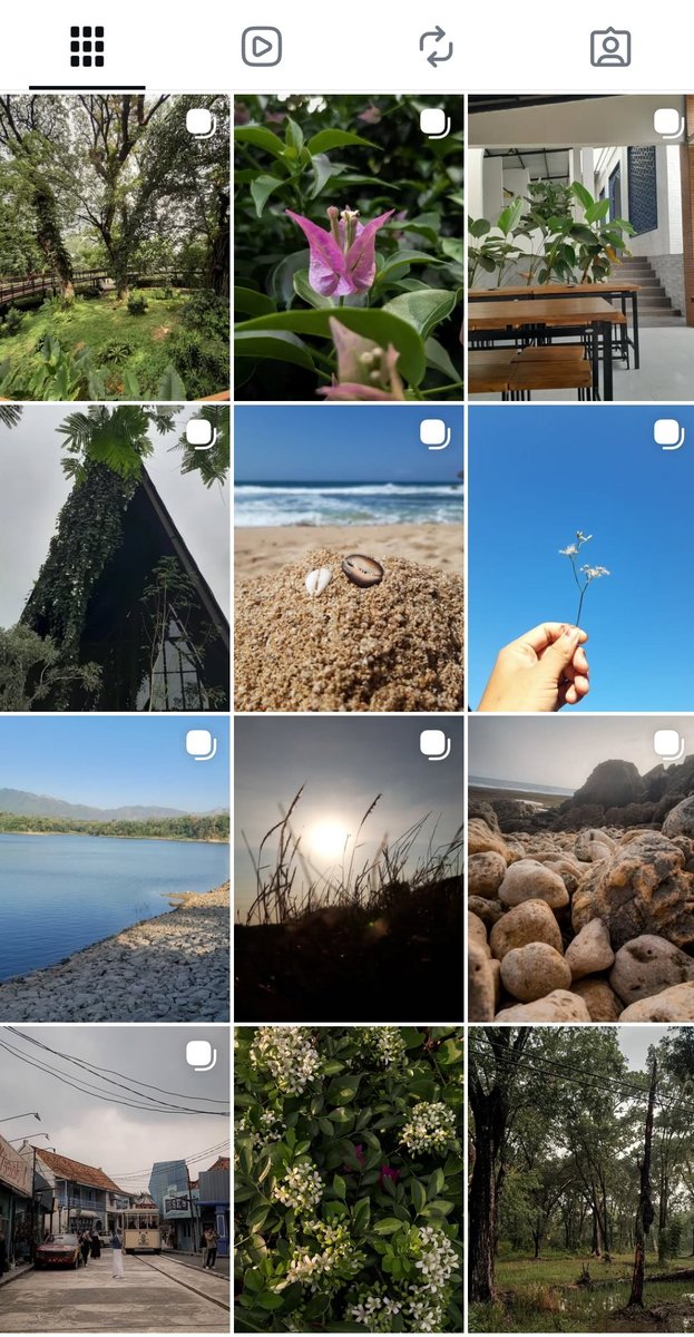 orangnya                             feed ignya