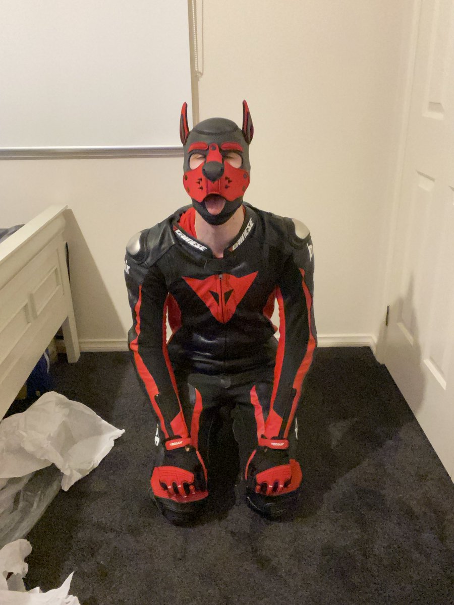 Pup Victus tweet media