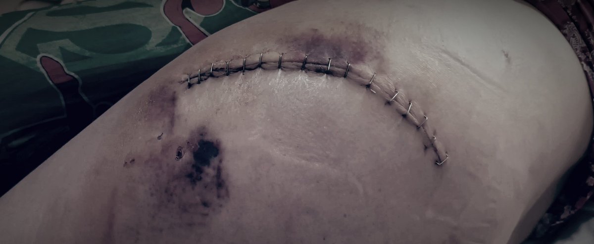 Ms.Took🌸🐝🌻🍂❄ tweet media