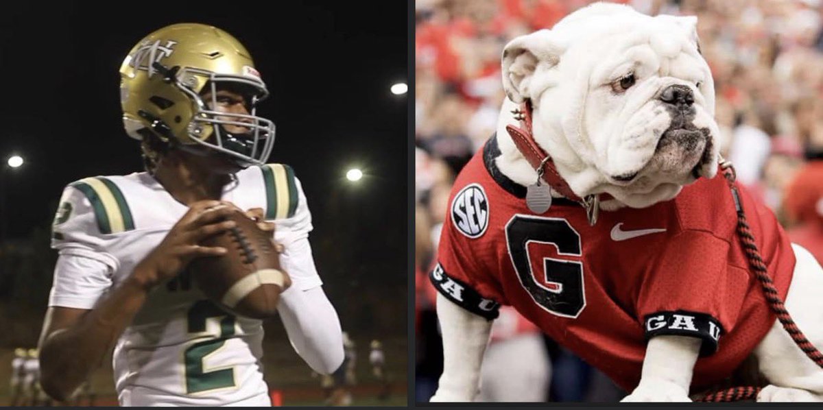 The Real Chase Cone tweet media