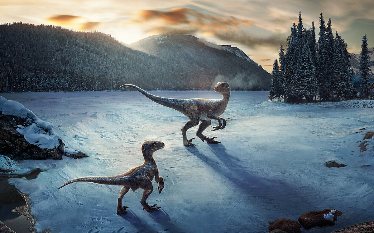 beta_blue80768's tweet photo. @BlueVeloRaptor Right behind you. :) https://t.co/HDgmMJWXPk