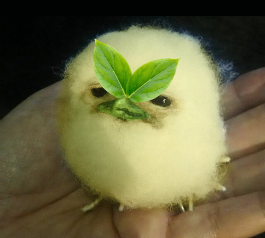 luciacrabs's tweet photo. yes, i am angry.

yes, i would still like to be held.

yes, i am going to be mad at you for holding me. https://t.co/C2Up83KIws
