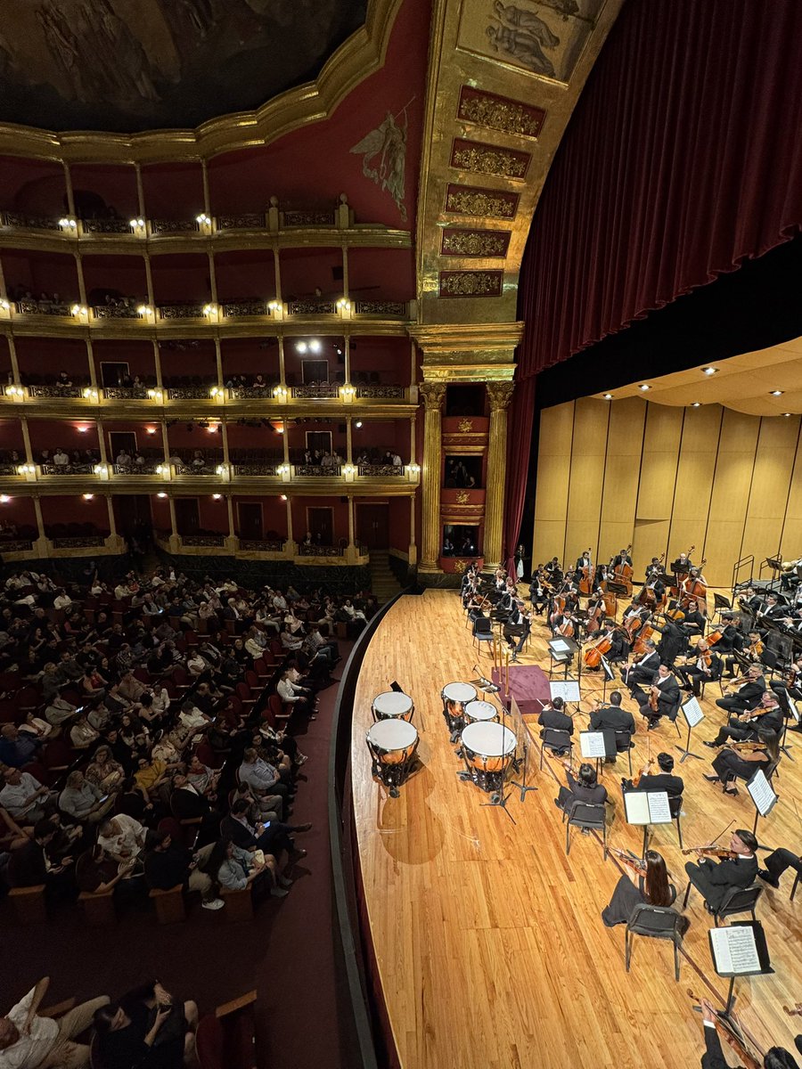 El caballero de los timbales sagrados 🔥🔥🔥