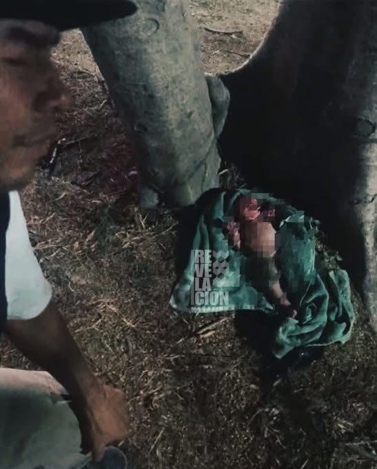 PresenciaAN's tweet photo. Sobre la bebé abandonada esta madrugada en Bahías de Huatulco
Esta madrugada fue localizada ...

Leer noticia: https://t.co/9tyl5ZaqRm

#presencianoticias https://t.co/92J3mdlb9c